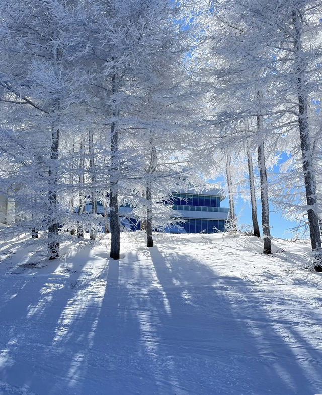 北京滑雪直通車開通!週末2小時直達雪場 北京滑雪直通車開通!週末2小時直達雪場