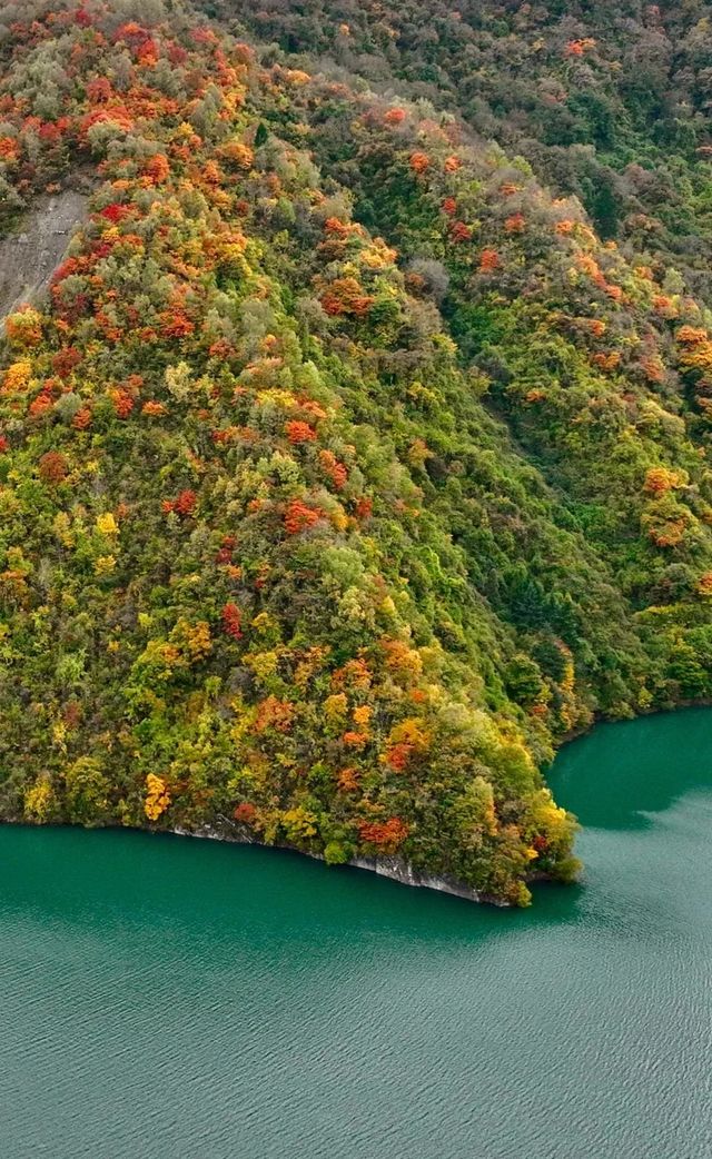 平武天母湖“百里彩林走廊”