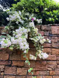 這是我花5蚊雞就能看到的景色？！？！