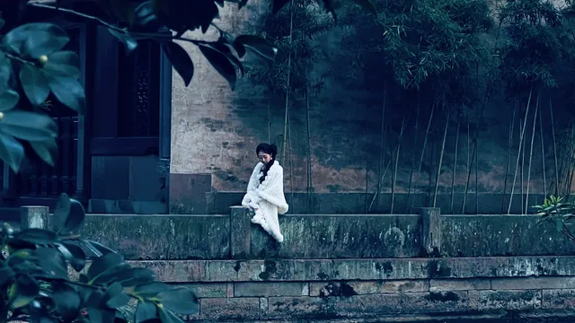 午後陽光下的天一閣真的很好拍！