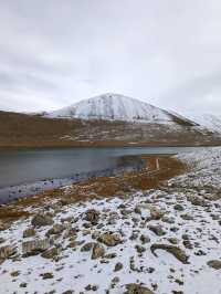秋遊必看巴音郭楞等地寶藏玩法大公開