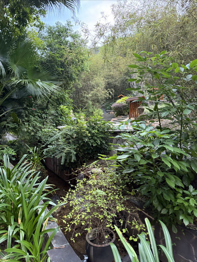 惠州溫泉|地派溫泉真的戳中我心巴了 惠州溫泉|地派溫泉真的戳中我心巴了