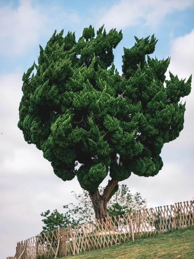 邊旅遊邊攝影真的會很上頭,青島攻略 邊旅遊邊攝影真的會很上頭,青島攻略