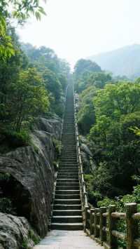 江西望仙谷親子遊攻略