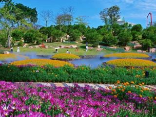 跟著鄧紫棋演唱會玩轉南寧！一站式攻略