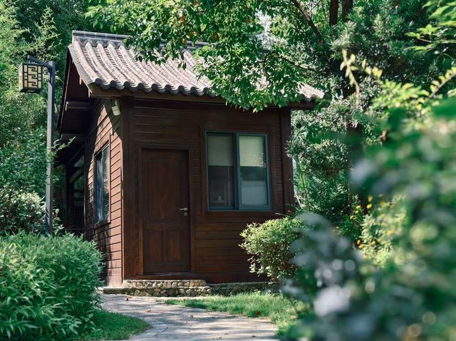 The here|藏著寵物友善的森系烏托邦 The here|藏著寵物友善的森系烏托邦