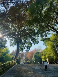 上海 |登佘山之巔,聆聽時光頌詩