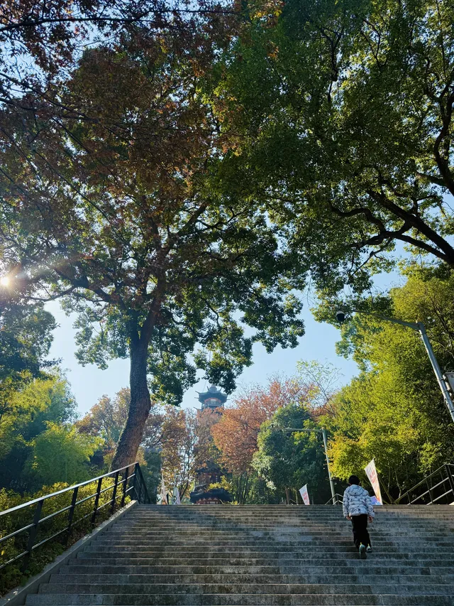 上海 |登佘山之巔,聆聽時光頌詩 上海 |登佘山之巔,聆聽時光頌詩