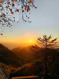 秋染莫干山，別有風味