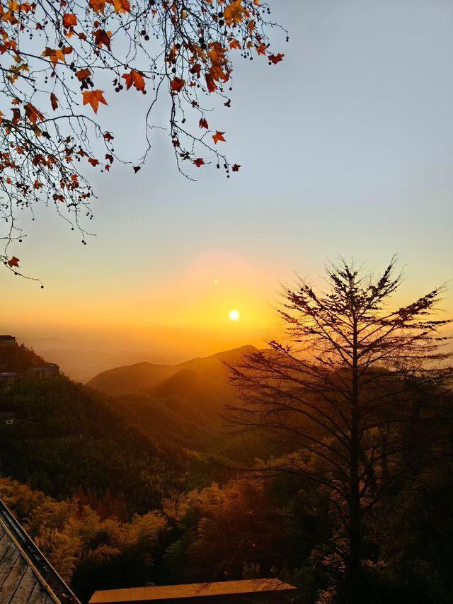 秋染莫干山，別有風味