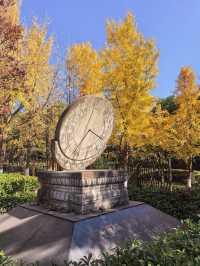 海寧觀潮勝地公園 | 深秋的詩意畫卷