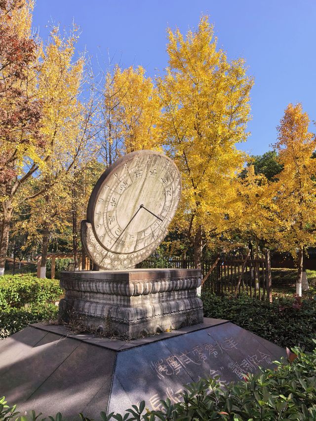 海寧觀潮勝地公園 | 深秋的詩意畫卷 海寧觀潮勝地公園 | 深秋的詩意畫卷