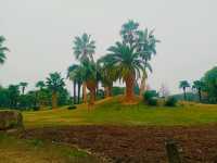 一場與花藥同行的邂逅