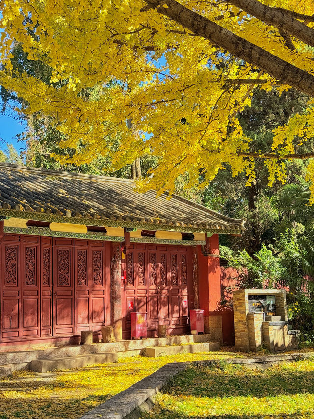 不是北京｜真的在麗江今日實況美哭了