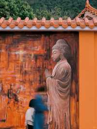 南澳古剎南山寺,木棉盛開如詩畫