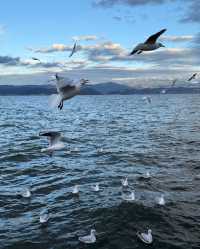 昆明等地6日遊 保姆級攻略來啦