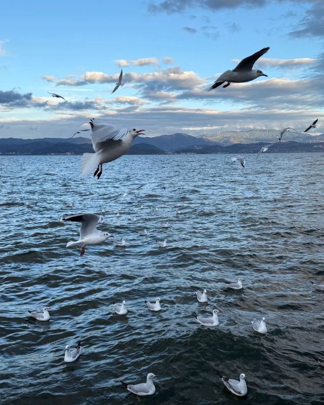昆明等地6日遊 保姆級攻略來啦 昆明等地6日遊 保姆級攻略來啦