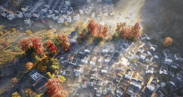 婺源石城秋日行攝全攻略｜沉浸於紅葉晨霧的水墨畫境