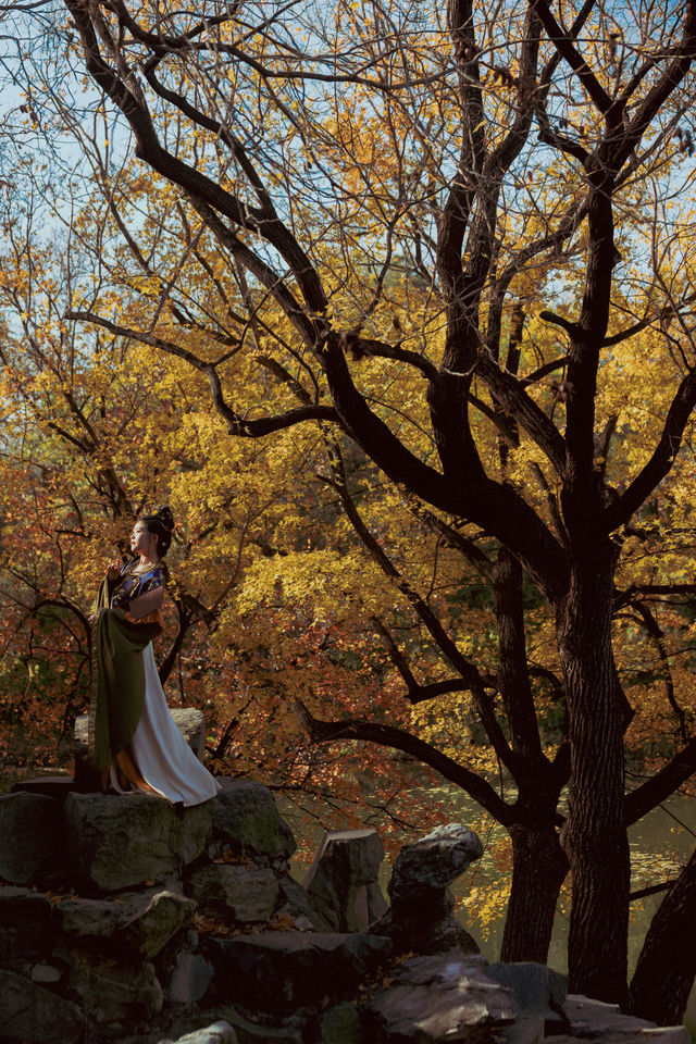 隱藏在北京頤和園裡的賞秋拍照打卡寶藏地。