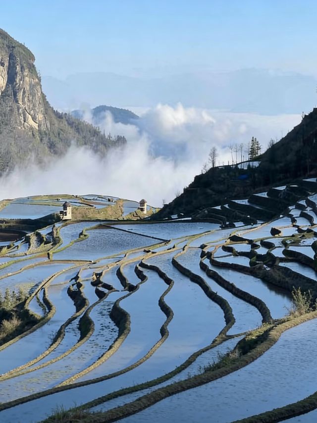 初冬壩達梯田遊玩攻略｜萬畝鎏金梯田間，解鎖少人知曉的暖調秘境