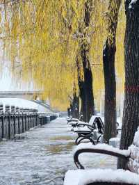 洛陽龍門石窟冬雪攻略雪中佛龕一眼越千年