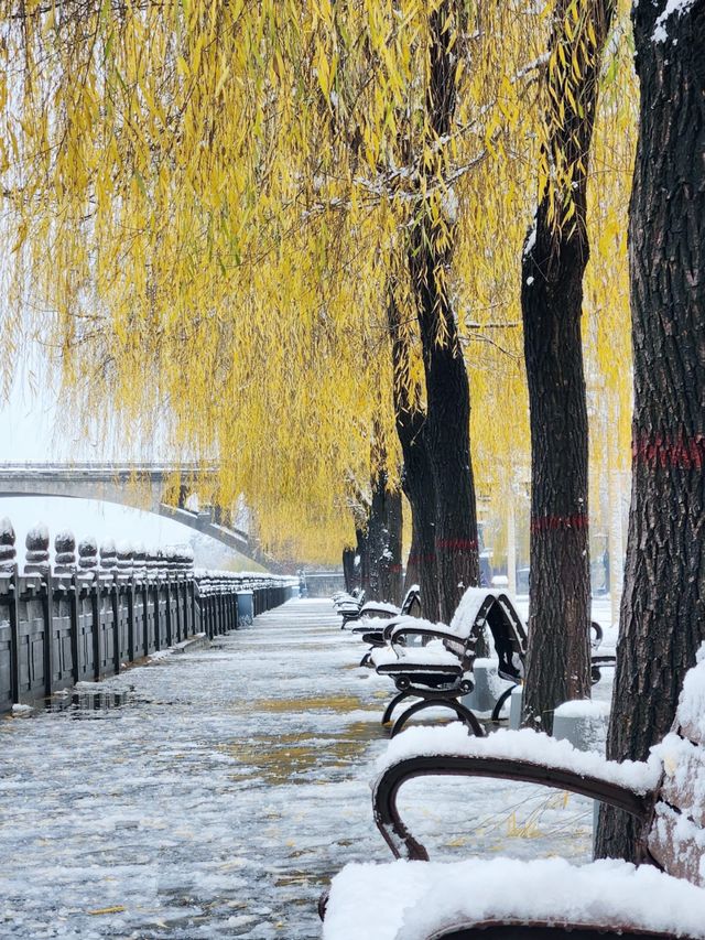 洛陽龍門石窟冬雪攻略雪中佛龕一眼越千年 洛陽龍門石窟冬雪攻略雪中佛龕一眼越千年