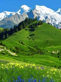 川西花海雪山秘境