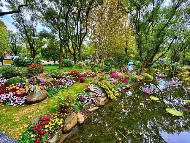 共青賞秋絕佳地 共青賞秋絕佳地