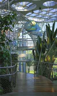 綠野仙蹤般治癒之旅