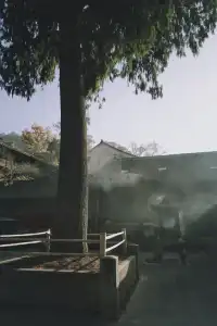 天台山藏了1400年的秘密,一草一木皆佛性