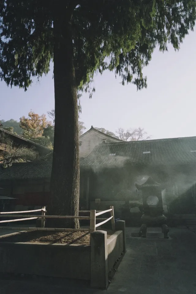 天台山藏了1400年的秘密,一草一木皆佛性 天台山藏了1400年的秘密,一草一木皆佛性