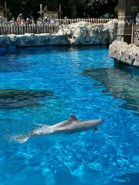 珠海!!!長隆海洋王國攻略吃喝一條龍~