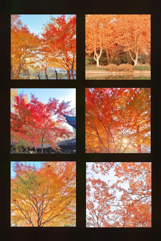 上海魔都秋日封神0元拍出國風大片