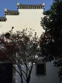 這裡不賣小商品｜「出售」最地道的義烏生活切片