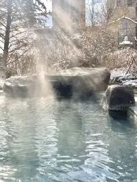 12月沈陽清河半島現狀準備來的寶…