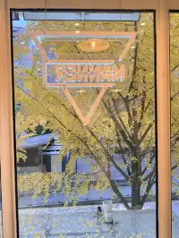 魔都秋日頂流!黃金城道銀杏拍照封神