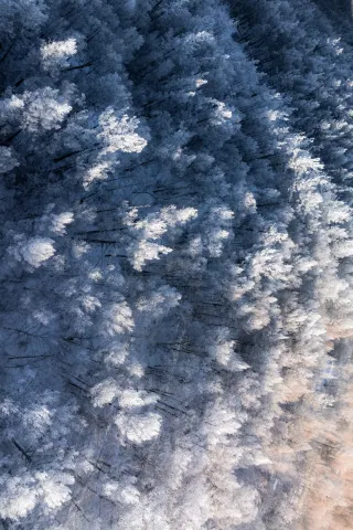 Arxan Winter Chronicle: Sundogs, Rime, and an Unfrozen Explanation