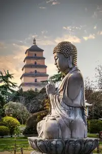 是哪個大聰明設計的這款隱藏機位啊｜西安