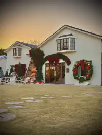 真的不是童話世界！在湖州吳興！5G過聖誕