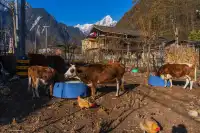 貢嘎群峰之愛德嘉：野蠻巨峰