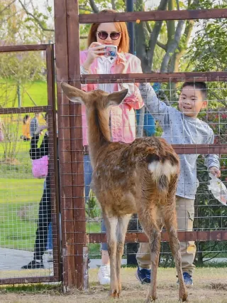 誰がわかるの！私は故宮と同じスタイルの中華ロマンをスマホに取り込みました！