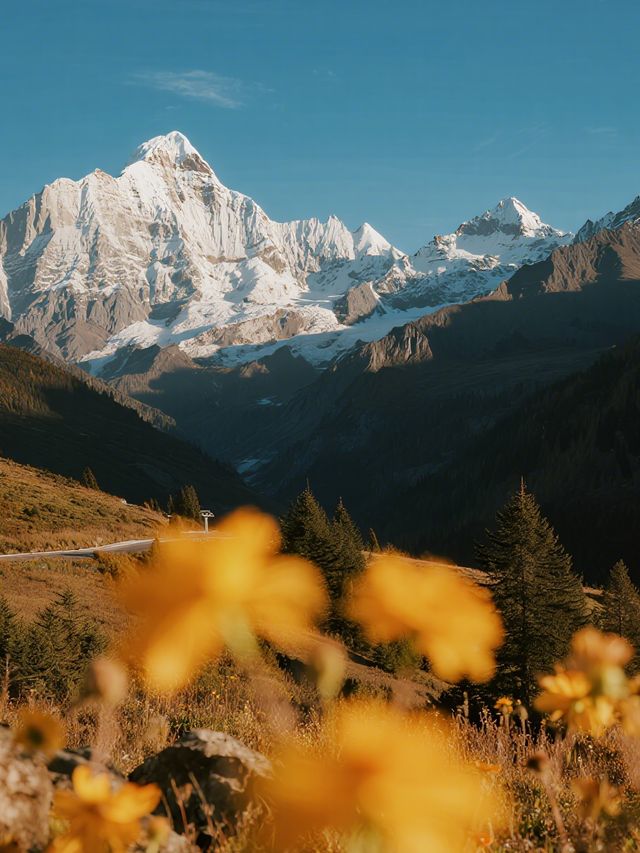 四姑娘山冬日封神 雙橋溝親子賞雪攻略