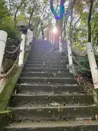 重慶主城!最喜歡的citywalk路線好治癒…