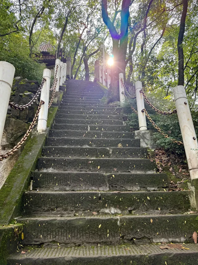 重慶主城!最喜歡的citywalk路線好治癒… 重慶主城!最喜歡的citywalk路線好治癒…