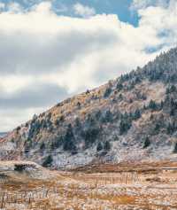 自駕川西一場大雪,川西有了冬日氛圍