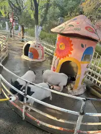 合肥遛娃| 大小朋友的快樂星球n刷都不膩