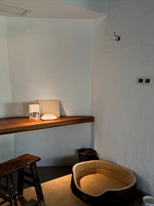 江浙滬｜在北緯30°海岸線邊漁村，做一日村民