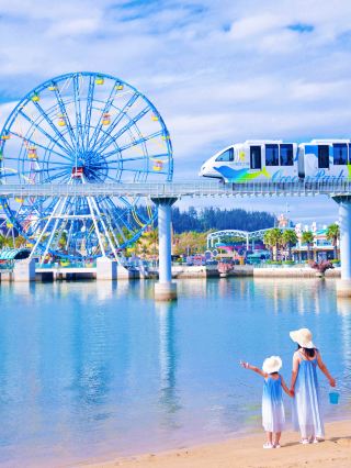 North vs. South｜Two kinds of romance, each wonderful in its own way