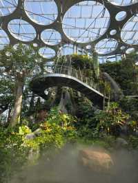 Нет, это не Сингапур! Шанхай сделал лучше!