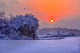 六盤山国家森林公園、四季の絶景と赤い記憶を解き明かす